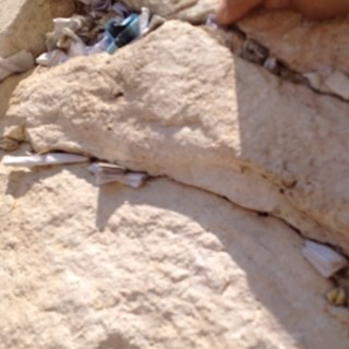 kleumas48's profile picture. 