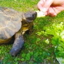 Michael Talbot - @MichaelTalbot51 - Twitter