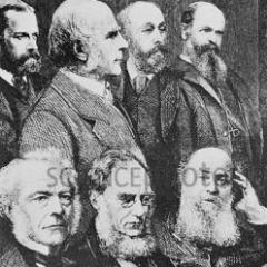 Somos o grupo de especialistas que afirma, aponta e indica as grandes verdades sobre qualquer coisa. Qualquer coisa mesmo.