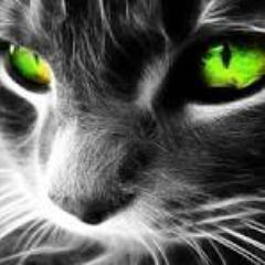 RRCLO規制垢 のアバター