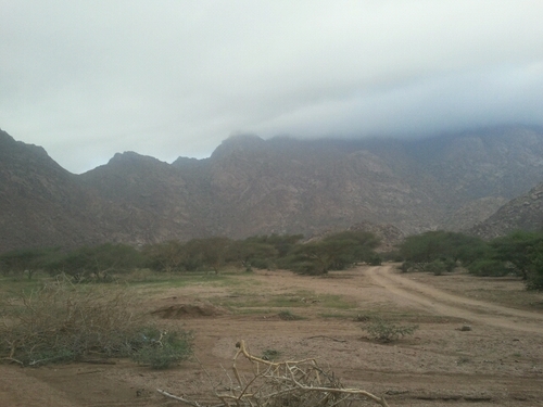 787Jlal's profile picture. 