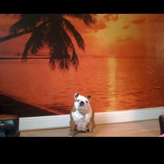 revlinio's profile picture. 