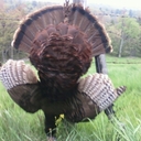 randy bucher - @sullydushore87 - Twitter