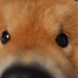 Gaapout's profile picture. 