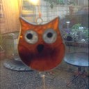 Peter Bird - @birdman_46 - Twitter