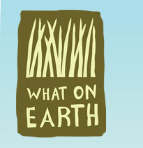 We make award-winning organic food for retail & food service,from pizzas & cheesecakes to granola & dips. We also try to save the world one pizza at a time.
