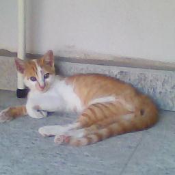 marygugi62's profile picture. Vivi e lascia vivere