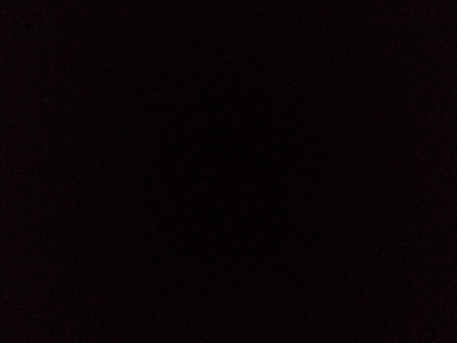 oxmolechien's profile picture. 