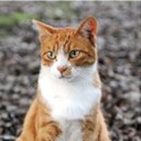 Nick Morrison - @THEENICKMORR - Twitter