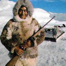 Hello! We are the Inuits. We live in the Tundra and we have many special adaptations, follow us for more info!