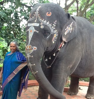 Devotee of SriSriRavishankar,love my coffee,ginger lemon with mint juice and to Sleep....