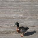 Louis Manning - @louM1953 - Twitter