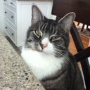 Avery McConkey - @mccoaver - Twitter