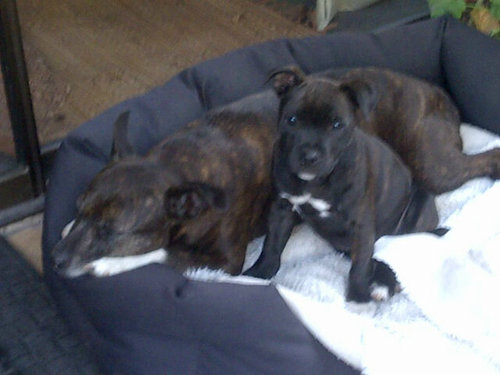 Tessa_Kuret's profile picture. 