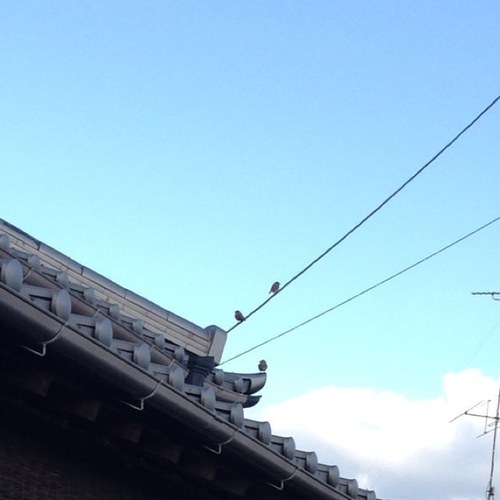 Keihi_117's profile picture. ゲームとかアニメとか。 
最近はタイタンフォールと艦こればかり。 
オカルティックナインやカオスチャイルドが楽しみ。