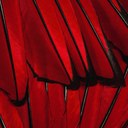 Ashley Hataway - @AshleyHataway - Twitter