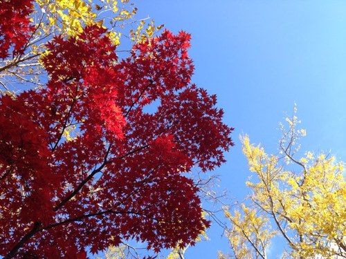 arizabaletabal's profile picture. 