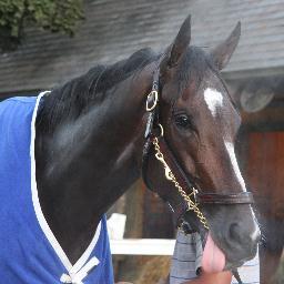 thoroughnews1's profile picture. 