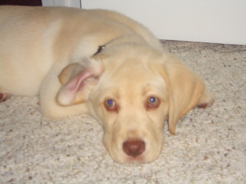 greta14's profile picture. 