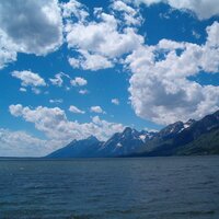 Gale Junggren (@54knots) 's Twitter Profile