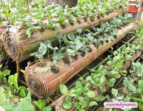 MARTHAZARATE's profile picture. 