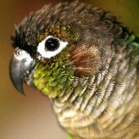 Heatherrr (@sweetkeet) 's Twitter Profile