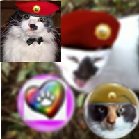 PatchCat (@patchdacat) 's Twitter Profile