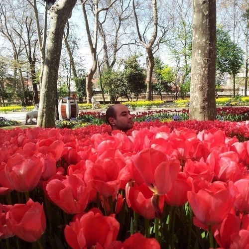 ertanocal's profile picture. Soul painted like the wings of butterflies.