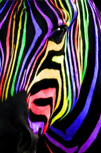 DidUknowSA's profile picture. Facts South Africa: History, breaking news. Focus on tourism: Accommodation, Flights, Cruises. TV, Radio, News, Traffic, Health, Best Restaurants!