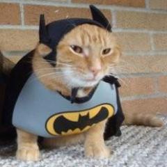 Tattoos, video games, comics and construction...oh my! =^.^=
