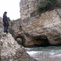 ironjawed (@ironjawed) 's Twitter Profile