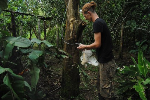 Staff at Yana Cocha. Living the jungle life in Ecuador!