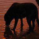 Dave Earley - @tuck2448 - Twitter