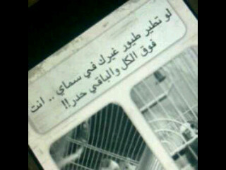 roro111116's profile picture. 