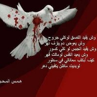 يا الله بحسن الخاتمه (@ahmedmusabah) 's Twitter Profile