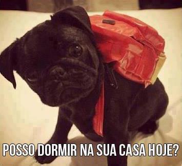 menina perfeita dos olhos de Deus...
