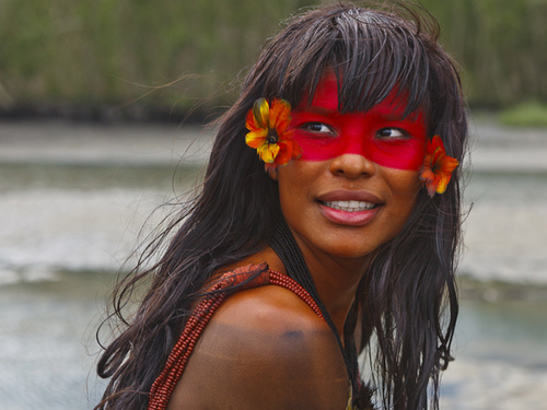 Olá Aló Amazônia está na área
