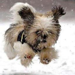 etak110's profile picture. Lawyer and now educator...every day something new and... Unbelievable!