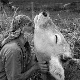 buttiamo le loro armi, radio televisori telefonini e carte di credito/ mucca madre no food