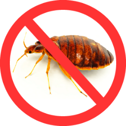 Pronot Pest is a pest control buisness that has been operating for over 25 years. We take care of a variety of pest problems especially bed bugs.