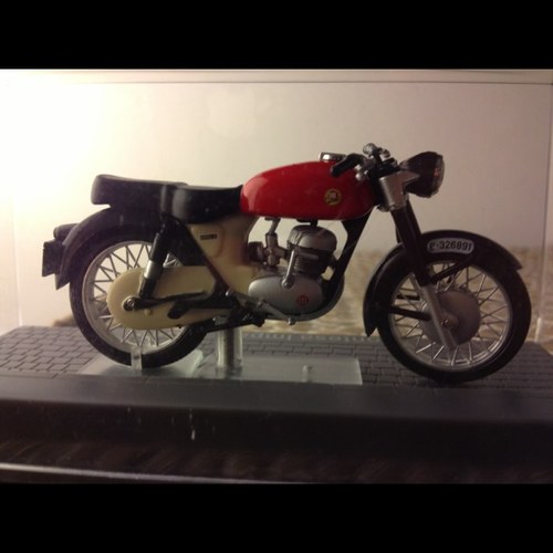 munoz_mir's profile picture. 