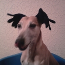 laurie griffith - @lauriemgriff - Twitter