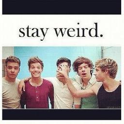 5 boys 4 British 3 taken 2 albums 1 irish 0 straight