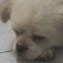 Cray.Yao - @Cray_Edward - Twitter