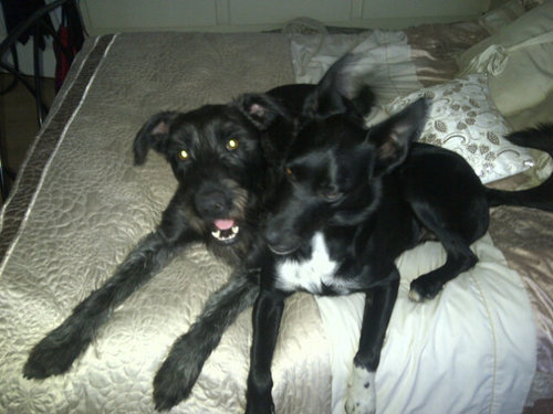 XSellYourself's profile picture. We enable individuals and organisations to achieve more of what they want by working with their strengths.