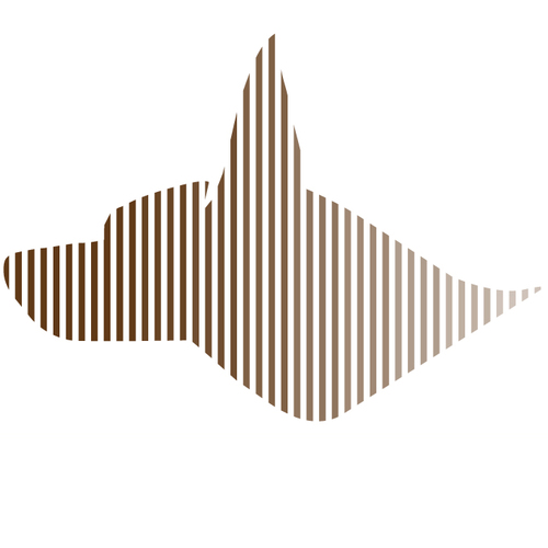 Baja Dingo: Private Transportation and Touristic Services in Los Cabos and the Baja Peninsula, Mx.