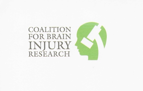 Our mission is to fund the necessary research that will lead to a brain injury cure. A goal that is long overdue.