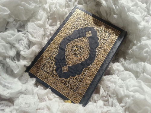كل يوم سانزل صفحتين من كتاب الله تقربنا اليه و تحمينا من هجر القرآن ♡   ولا تحرموا نفسكم اجر نشره