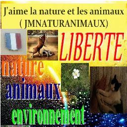 JMNATURANIMAUX's profile picture. NON AUX CIRQUES, ZOOS, CORRIDAS & CRUAUTÉ À TRAVERS LE MONDE. Nature, droit de l'environnement, animaux. Région PACA, la trentaine.