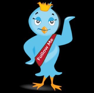 Wij volgen jou 100% als je ons volgt. We follow you if you follow us! Terugvolgers / Followback